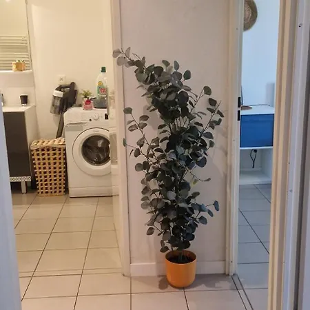 Labenne Ocean - Calme & Soleil - Plage A 100M לבן