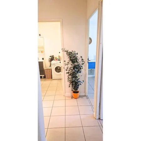 Ocean - Calme & Soleil - A 100m C' La Vieconciergeire Labenne